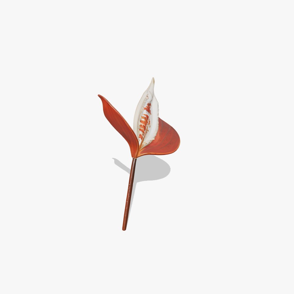 Exotic Metal Leaf Sculpture Model Pack
